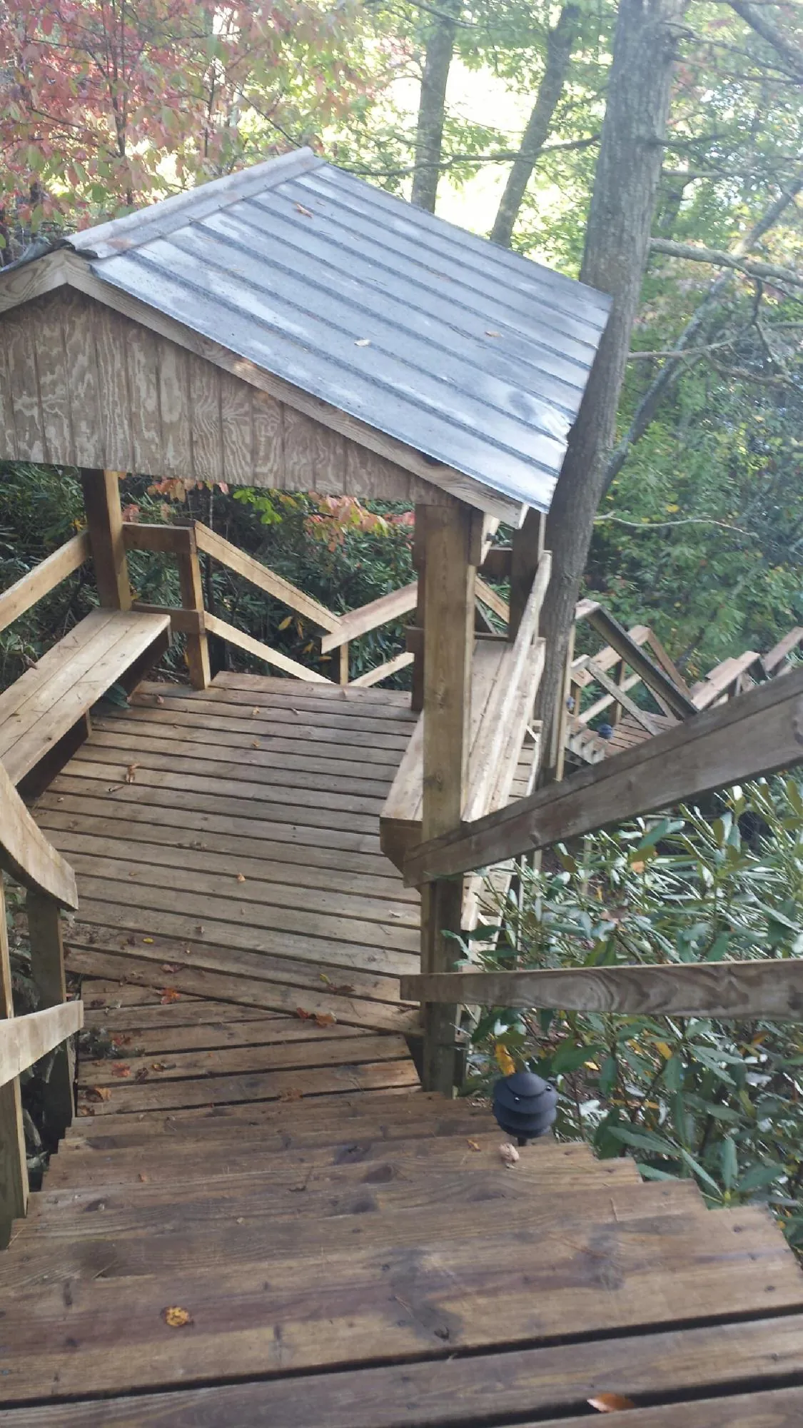 Metal roofed shelter over wooden steps on a wooded walkway — Skylight Repair & Installation work by our crew in Hallandale